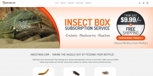 InsectBox